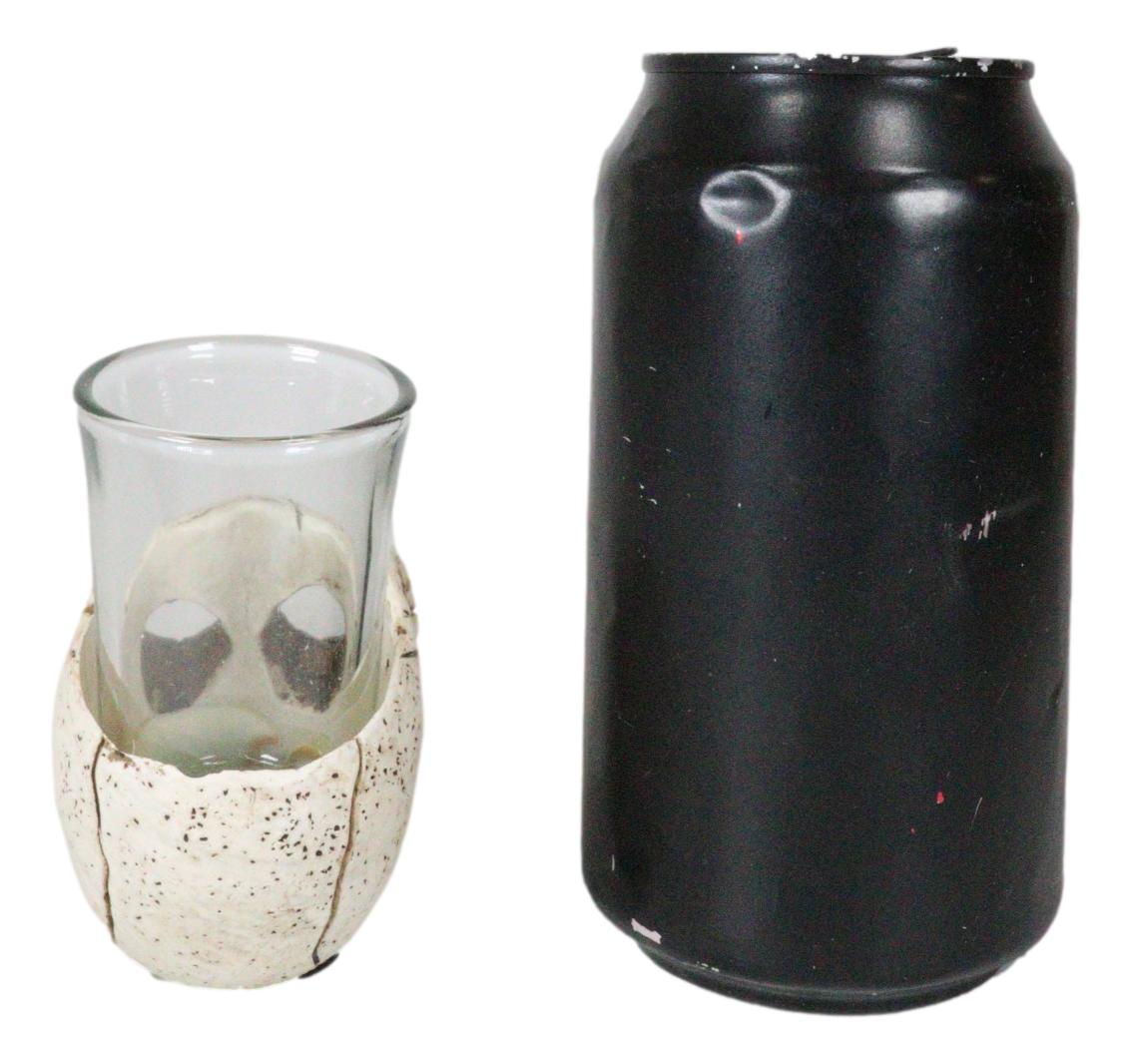 Gothic Ossuary Graveyard Macabre Grinning Evil Skull Shot Glass Holder Figurine