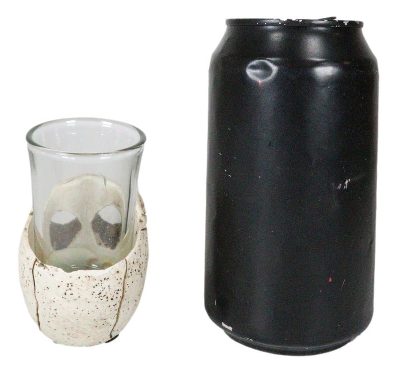 Set Of 4 Gothic Graveyard Macabre Grinning Evil Skull Shot Glass Holder Figurine