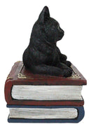 Wicca Mystical Black Cat Sitting On Book Of Spells Stack Decorative Jewelry Box