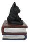 Wicca Mystical Black Cat Sitting On Book Of Spells Stack Decorative Jewelry Box