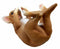 Kitchen Decor Teacup Chihuahua Puppy Wine Holder Statue 11"Long Taco Chihuahua