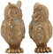 Ebros 4.75" Tall Royal Golden Owl Couple with Glitter Crystals Lace Design Figurine Set of 2 Wisdom of The Woods Wise Great Horned Owl Collectible Statue Accent Decor of Owls Theme - Ebros Gift