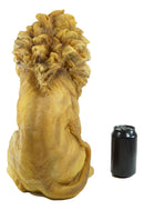 Realistic King Of The Savannah Jungle African Pride Lion Sitting Statue 16"H
