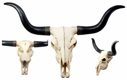 Ebros Large 27"Wide Longhorn Steer Cow Skull Wall Head Hanging Sculpture Plaque