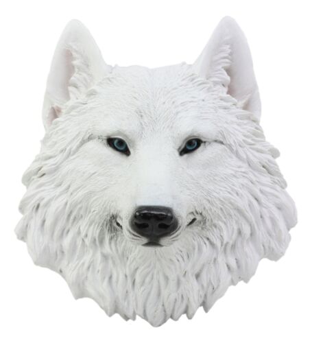 Ghost Albino Arctic White Wolf Head Wall Decor Plaque 8.5"H Direwolf Figurine - Ebros Gift