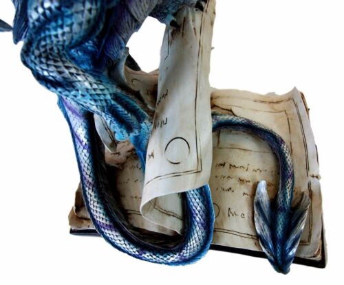 Large 18"H Dragon of Bibliography Sacred Water Spell Book Guardian Statue Decor