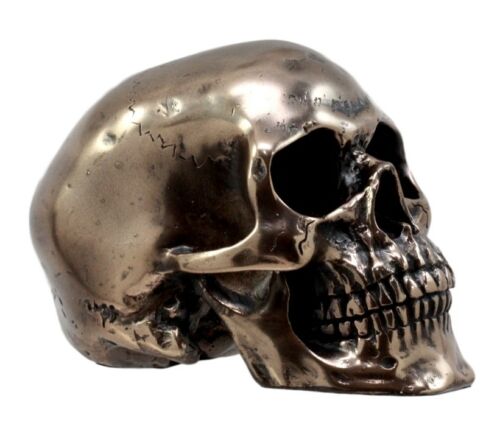 Ebros Bronzed Homosapien Skull Figurine 4.5"L Miniature Halloween Collectible - Ebros Gift