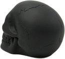 Ebros Pirate's Loot Graveyard Human Skull Statue 3.75"L (Midnight Ghost Black)