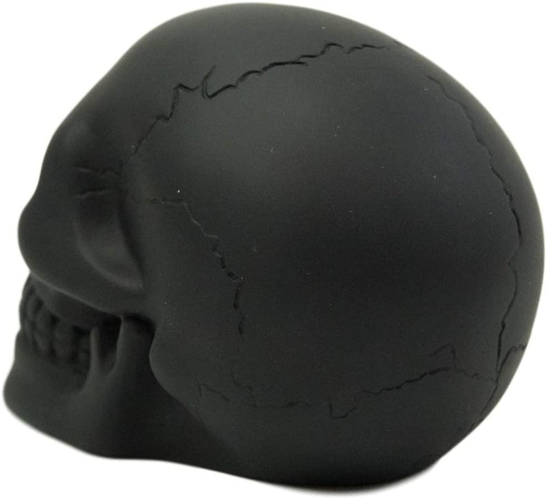 Ebros Pirate's Loot Graveyard Human Skull Statue 3.75"L (Midnight Ghost Black)