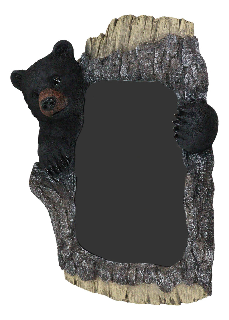 Large 27" H Western Rustic Forest Black Bear Holding A Tree Branch Wall Mirror