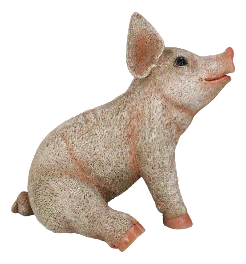 Large Country Farmhouse Adorable Realistic Animal Farm Babe Pig Sitting Statue