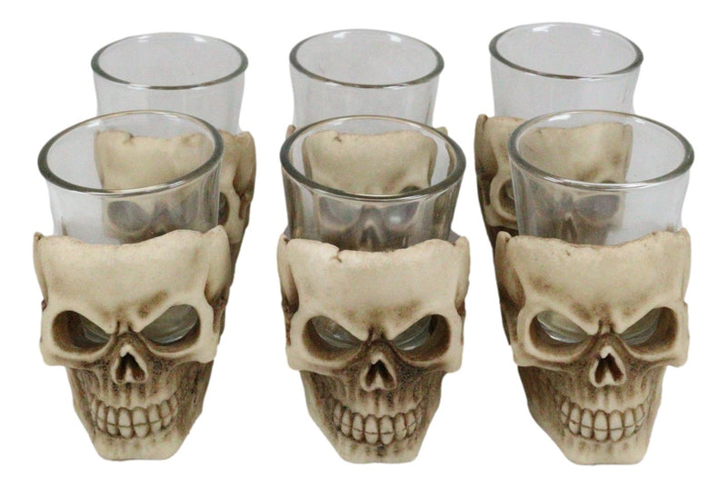 Ebros Grinning Skull Shot Glass Set of 6 Altar of Skulls Skeleton Ossuary Skull