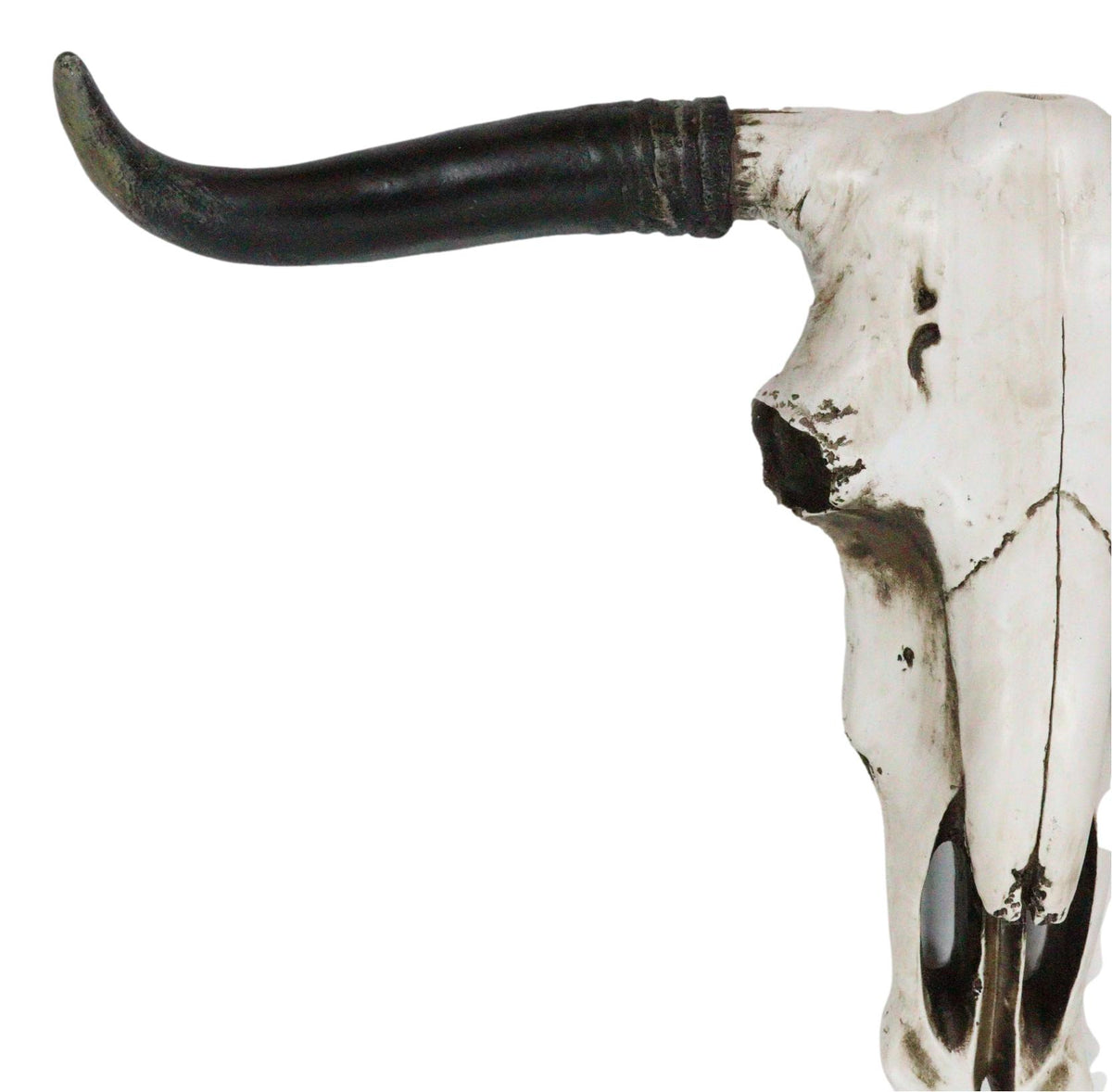 Rustic Western Longhorn Bull Cow Steer Head Skull Wall Decor Plaque 20.5"L