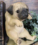 Ebros Pot Pal Hanging Pug Puppy Pooch Dog Statue 6.5" Tall with Glass Eyes