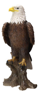 Ebros Large 27" Tall Realistic American Pride Mountain Golden Bald Eagle Perching On Tree Stump Statue USA National Emblem Independence Day American Gallery Quality Home Patio Decor Figurine