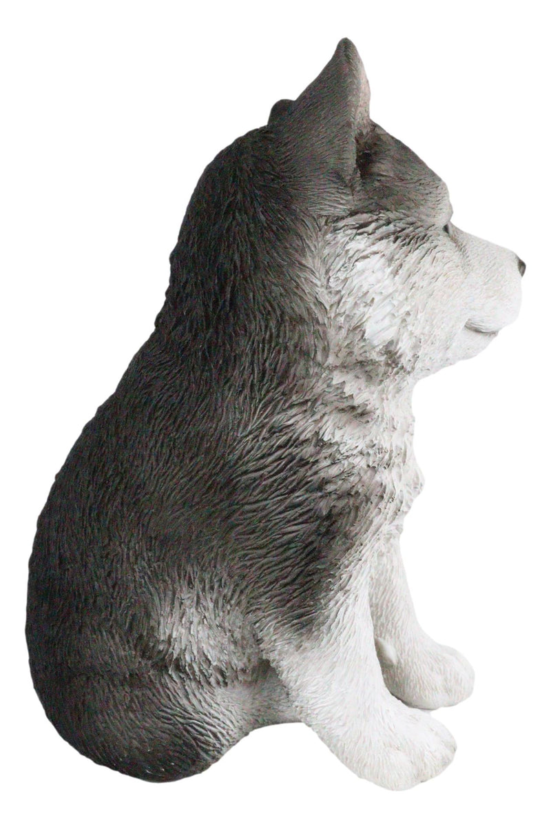 Ebros Lifelike Siberian Husky Sled Dog Puppy Sitting Figurine 6.75"H Animal Pet