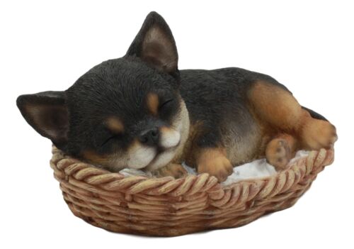 Ebros Chihuahua Dog Sleeping in Wicker Basket Statue 6.5" Long Figurine