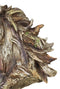 Faux Driftwood Equine Beauty Mustang Horse Head Desktop Plaque Sculpture 8.25"H