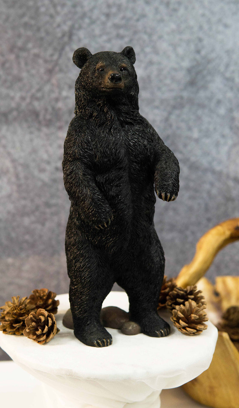Western Rustic Forest Standing Black Bear Statue 12"H Cabin Lodge Bears Figurine