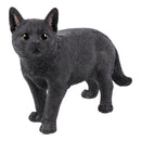 Large Lifelike Mystical Standing Black Cat Kitten Statue With Glass Eyes15"L