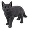 Large Lifelike Mystical Standing Black Cat Kitten Statue With Glass Eyes15"L