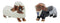 Lovely Wedding Bride and Groom Doxies Dachshunds Salt and Pepper Shaker Set