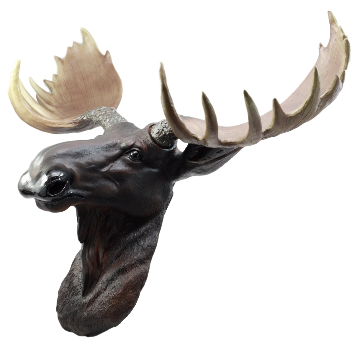 Ebros North American Bull Moose Wall Decor 24"Wide Wall Mount Plaque Sculpture