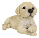 Lifelike Adorable Labrador Puppy Dog Lying On Belly With Crossed Arms Figurine