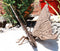 Ebros 7" Long Metamorphosis Flitting Butterfly Bronzed Decorative Garden Statue
