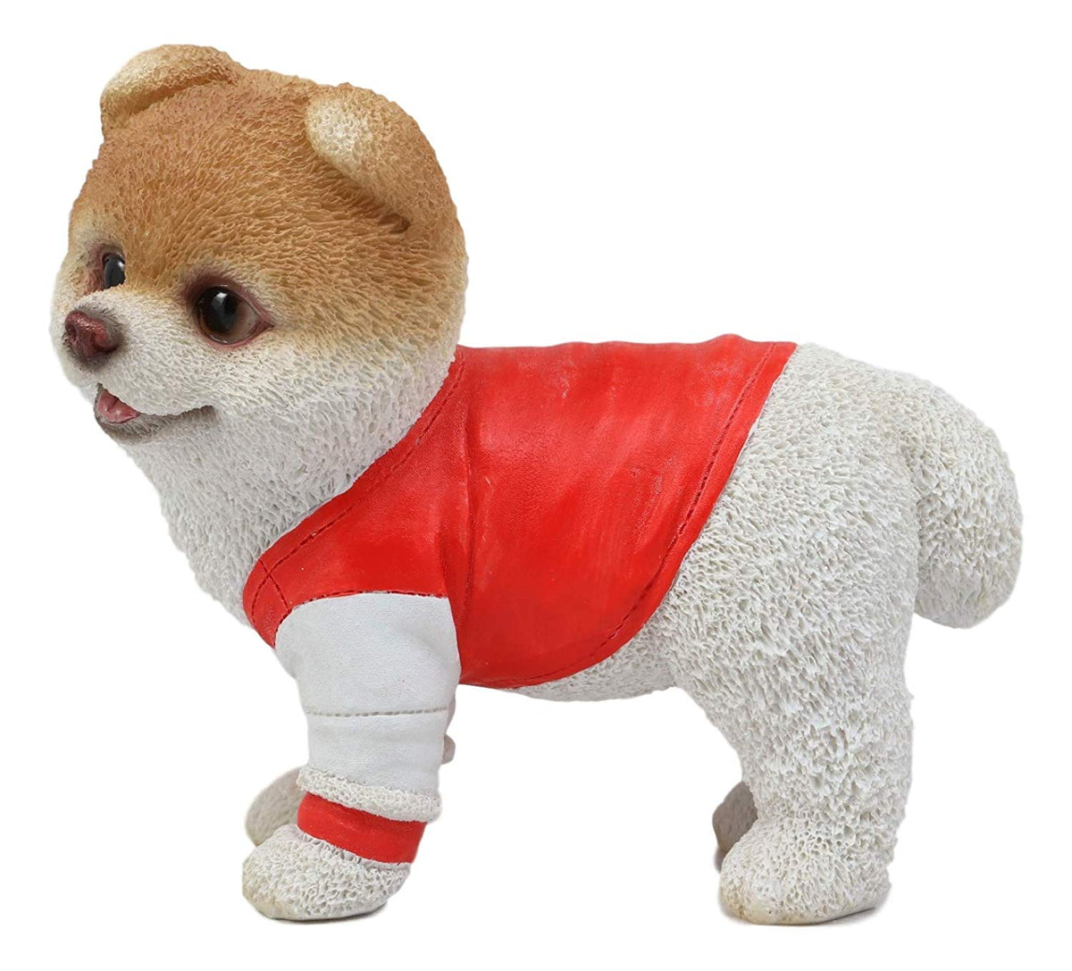 Ebros Gym Bro Boo The World's Cutest Pomeranian Dog Statue Pet Pal Dogs Collectible Breed Pomeranians Memorial Collectible Resin Decor Figurine with Glass Eyes Official Licensed Sculpture - Ebros Gift