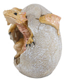 Ebros Raeon Sunlight Dragon Hatchling Breaking Out Of Egg Shell Figurine 5"H
