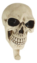Pack Of 2 Macabre Halloween Grinning Evil Skull Head Bone Wall Coat Hook Plaque