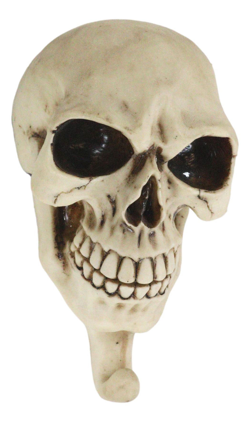 Pack Of 2 Macabre Halloween Grinning Evil Skull Head Bone Wall Coat Hook Plaque