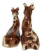 Zoo Safari Giraffe Lovers Ceramic Magnetic Salt Pepper Shakers Set Figurines