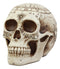 Ebros Solar Astrology Celestial Skull Statue Cartography Skull Cranium Figurine