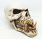 Ebros Large Dragon Demon Skull Skeleton Figurine 9.5" Long Novelty Halloween Decor
