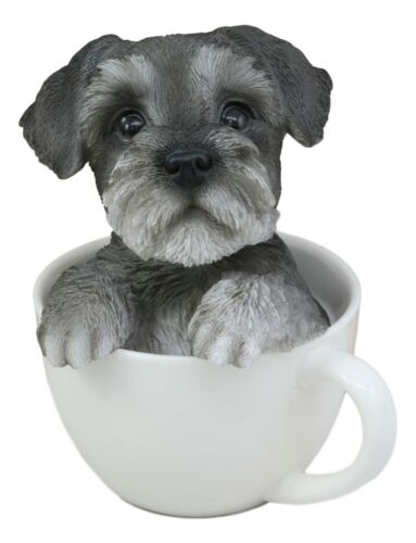 Realistic Grey Adorable Schnauzer Dog In Teacup Statue 5.75" Tall Pet Pal Dog