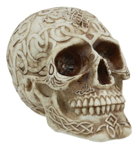 Celtic Astrology Tribal Knotwork Tattoo Relic Skull Statue 6"L Skeleton Cranium