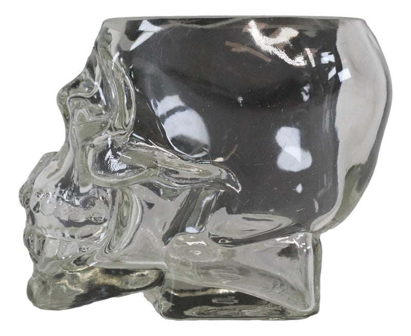 Ebros PACK OF 4 Skeleton Skull Glass Bowl Drink Stationery Office Holder