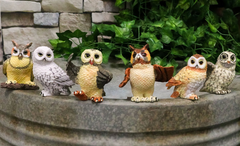 Owls of The World Colorful Nocturnal Birds In Multiple Poses Mini Figurine Set