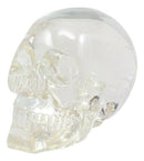 Ebros Clear Translucent Witching Hour Gazing Skull Statue 5.5"L Made Of Acrylic