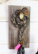 Diamondback Rattlesnake Taxidermy Wall Hook On Wooden Plank Decor Sculpture