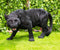 Grand Scale Realistic Black Panther Jaguar Leopard Prowling Statue 31"Long