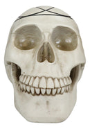 Gothic Sacred Geometry Seed Of Life Earth Creation Cosmic Energy Skull Figurine