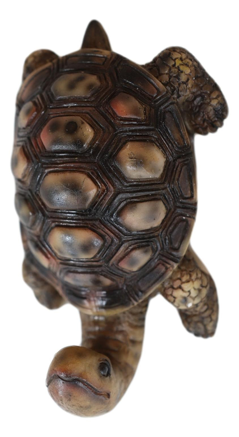 Nautical Marine Brown Long Necked Tortoise Rustic Wall Hook Hanger Figurine