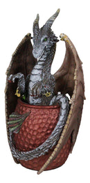 Spirit Cocktail Drink Moscow Mule Gray Dragon Bathing Faux Copper Mug Figurine