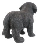 Lifelike Adorable Black Labrador Retriever Puppy Dog Statue 5"H Memorial Pet Pal