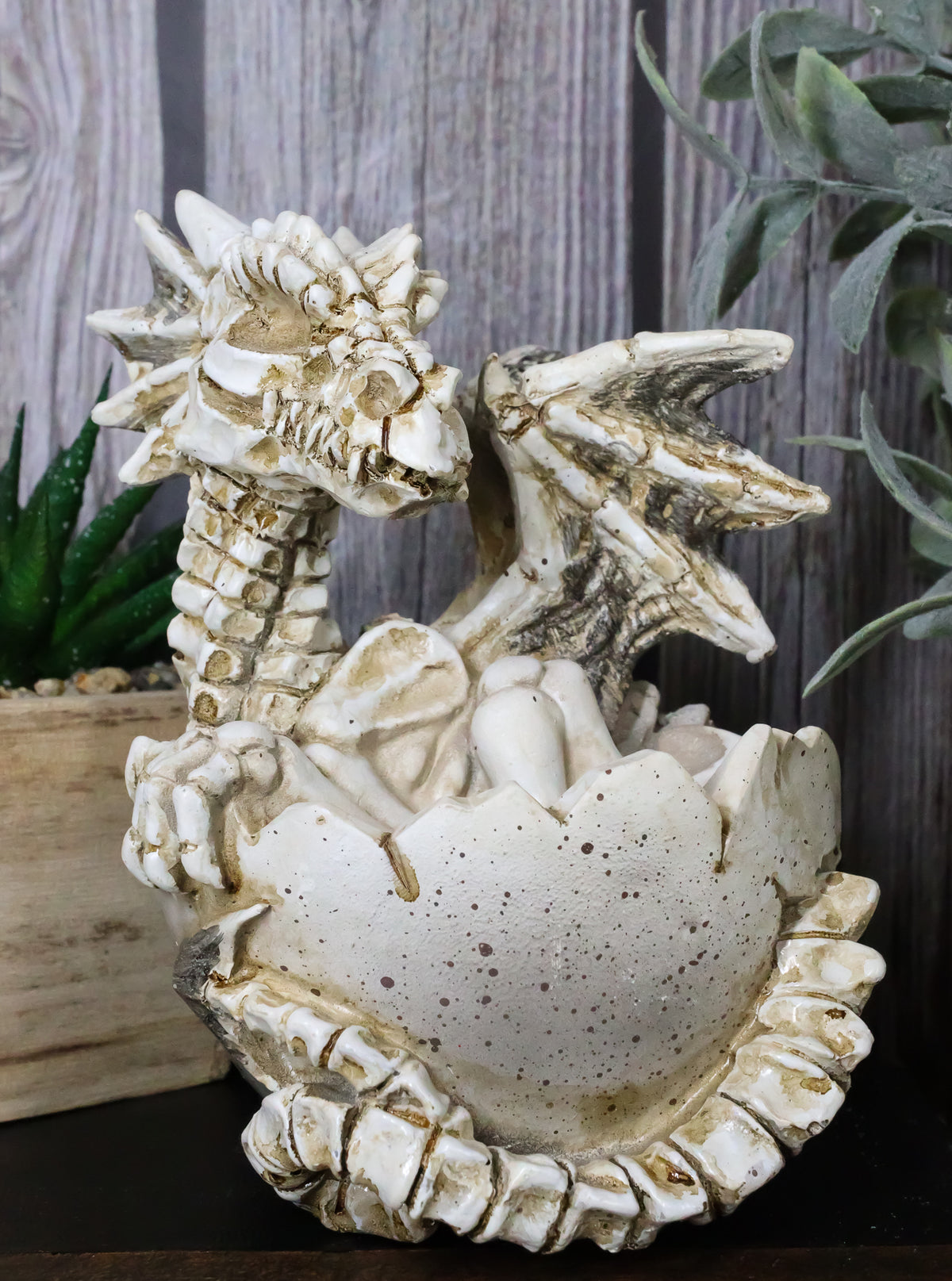 Ebros 4.5" Long Skeleton Bone Wyrmling Dragon Hatchling From Egg Statue Figurine - Ebros Gift