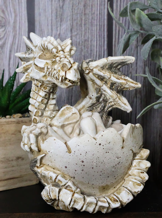 Ebros 4.5" Long Skeleton Bone Wyrmling Dragon Hatchling From Egg Statue Figurine - Ebros Gift