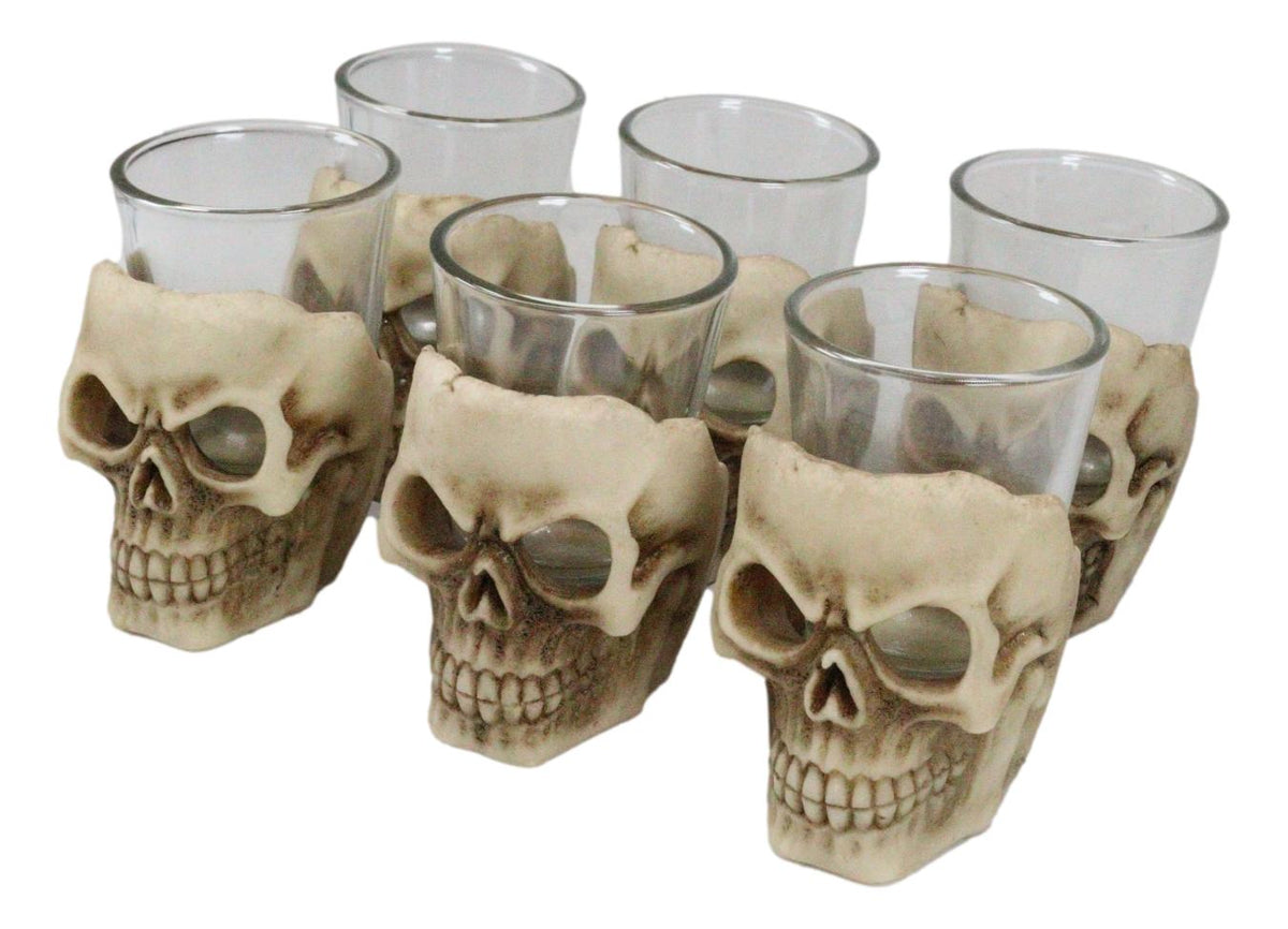 Ebros Grinning Skull Shot Glass Set of 6 Altar of Skulls Skeleton Ossuary Skull